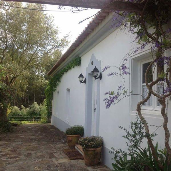 Monte Dos Papa Figos Hotel Sao Teotonio Exterior photo